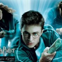 STEMMA HARRY POTTER IN CIALDA GRIFONDORO 9 PEZZI – Pretty Party